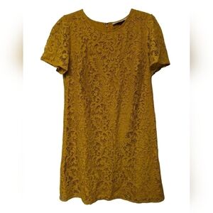 Loft Lace Shift Dress Sz 4